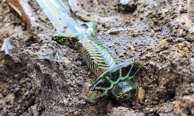 Γερμανία: «Εξαιρετικά σπάνιο» σπαθί 3.000 ετών λάμπει ακόμα – Άναυδοι οι αρχαιολόγοι