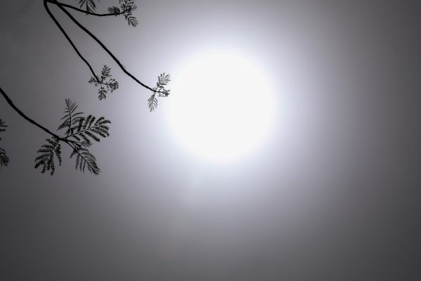 Η ζέστη σκοτώνει ακόμα και χωρίς καύσωνα, προειδοποιεί μελέτη