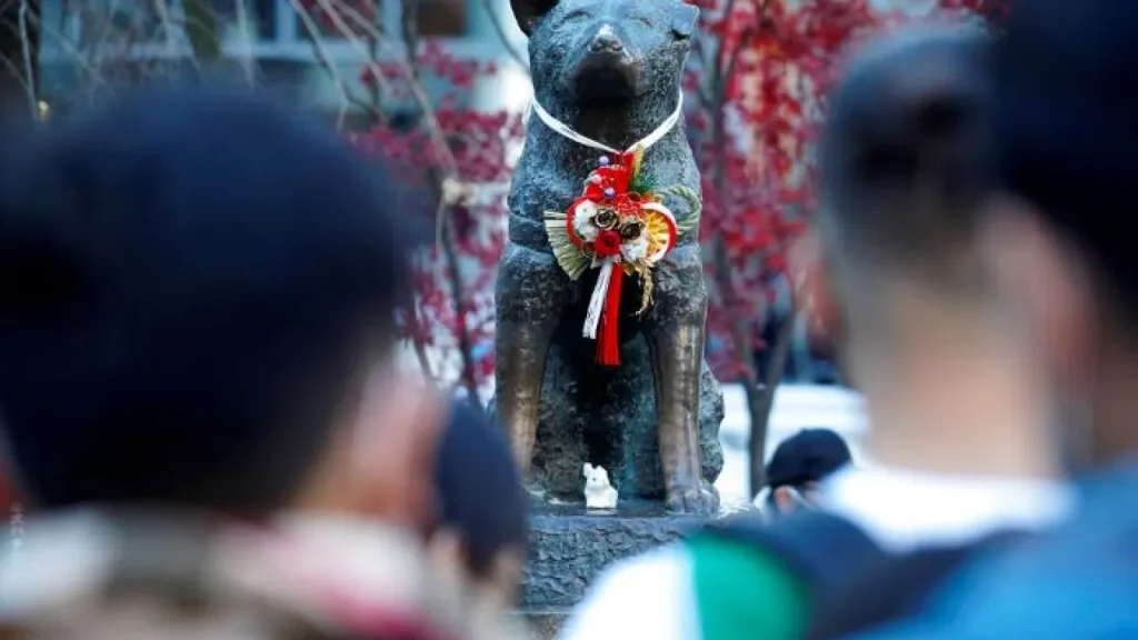 Χάτσικο,100 χρόνια από τη γέννηση του πιο πιστού σκύλου στον κόσμο