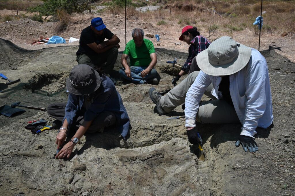 Λασίθι: Εντυπωσιακή ανακάλυψη στο οροπέδιο Καθαρού – Βρήκαν προϊστορικά οστά νάνου ιπποπόταμου