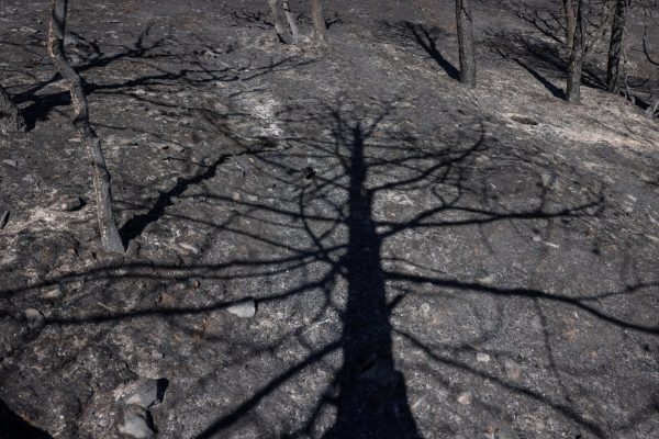 Κλιματική αλλαγή: Έφτασε η ανθρωπότητα στο σημείο χωρίς επιστροφή; Στα αέρια του θερμοκηπίου η απάντηση