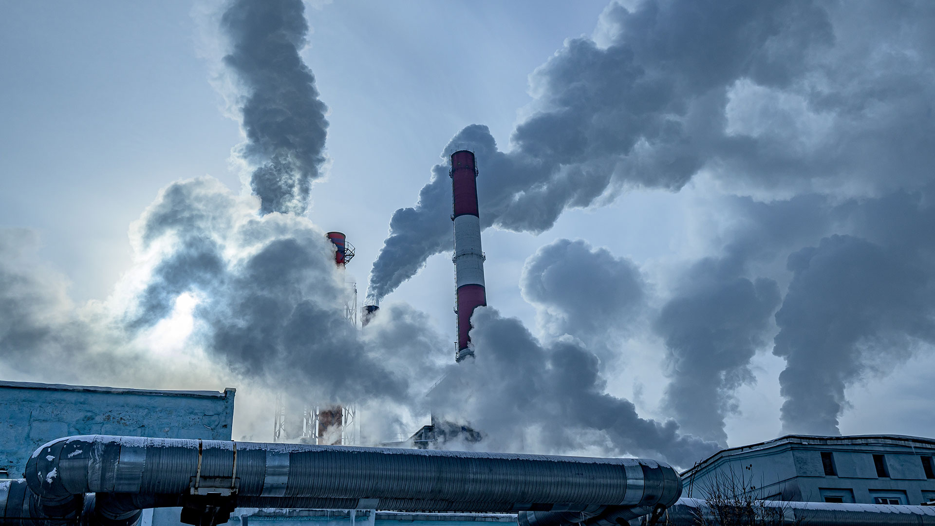 238.000 Ευρωπαίοι «χάνονται» κάθε χρόνο επειδή η Ε.Ε. δεν ακολουθεί τις οδηγίες