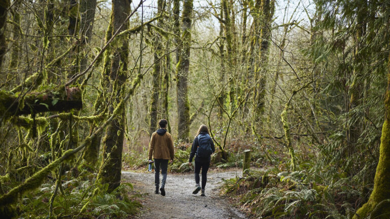 Ψυχοθεραπευτές αντικαθιστούν τον καναπέ με την ύπαιθρο