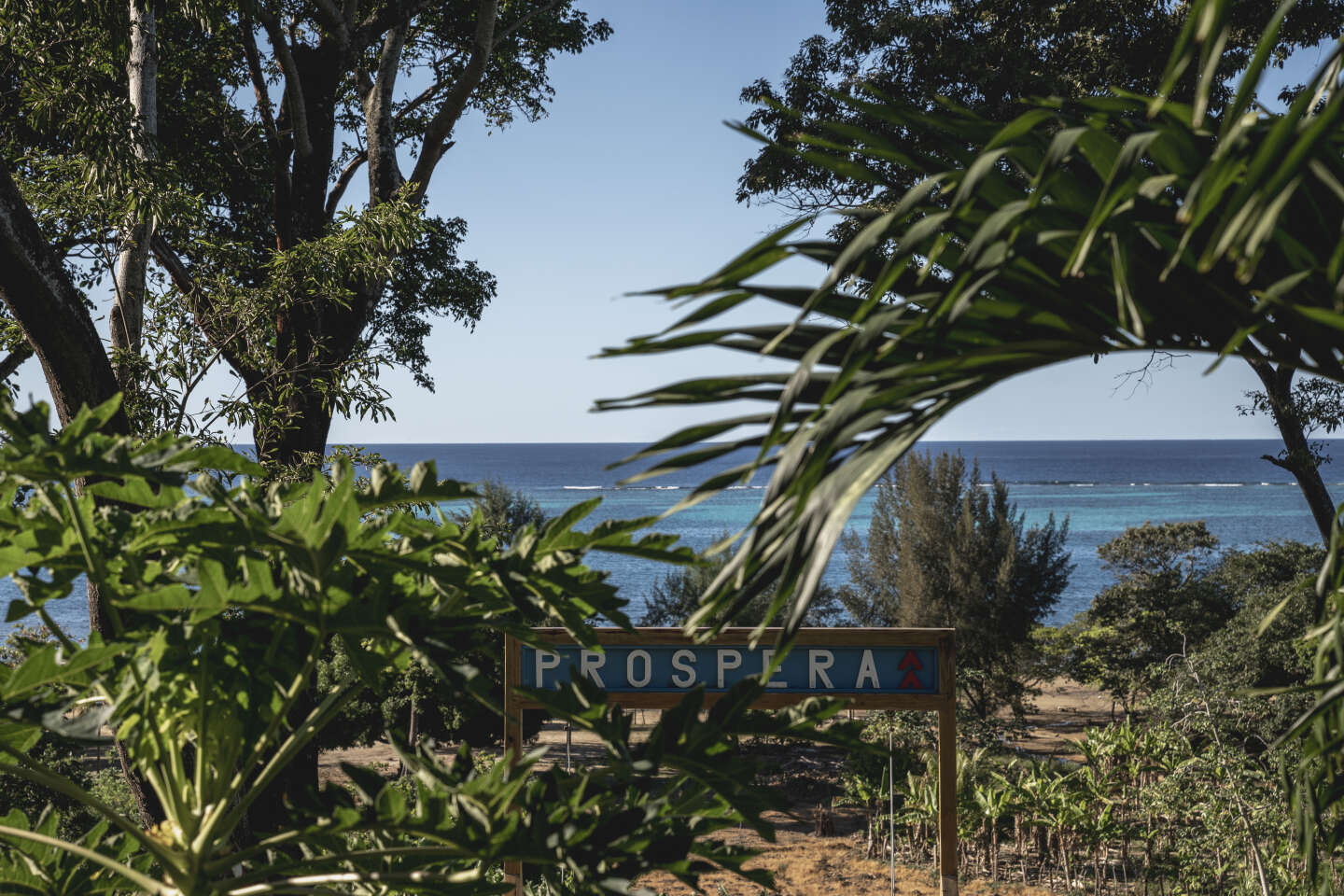 Prospera: Η «νεοαποικιακή» startup πόλη που οδηγεί την Ονδούρα στη χρεοκοπία