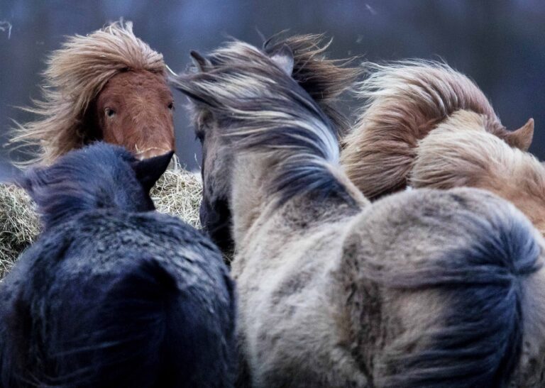 Αφαντασία: Όταν το μυαλό είναι «τυφλό»