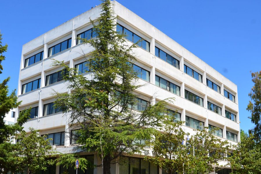 Το Ερευνητικό Κέντρο Αθηνά παρουσιάζει το νέο Μεγάλο Γλωσσικό Μοντέλο Llama-Krikri 