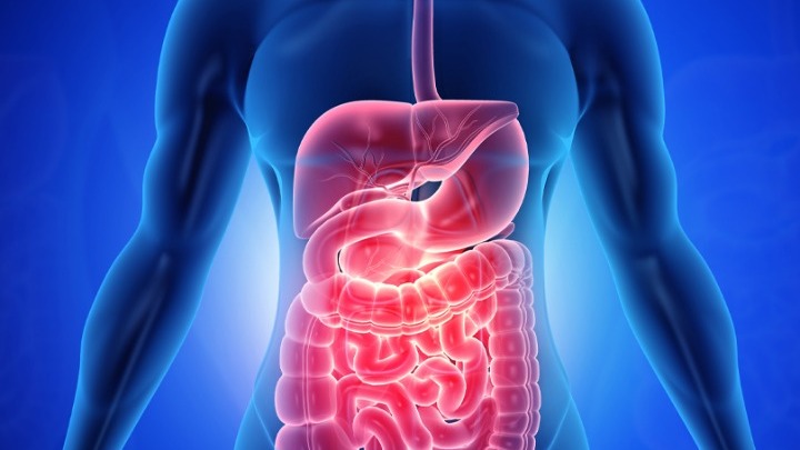 Αυτές είναι οι διατροφικές συνήθειες που σχετίζονται με τον καρκίνο του γαστρεντερικού συστήματος