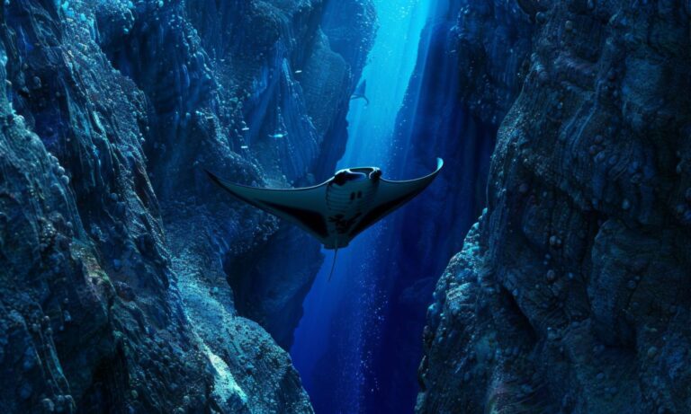 Υποβρύχιο ηφαίστειο «κρύβει» χιλιάδες γιγάντια ζωντανά αυγά τρομάζοντας τους επιστήμονες