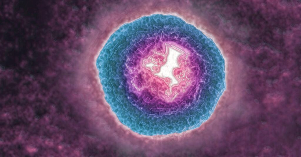 Ο ιός του έρπητα ζωστήρα γερνάει τον εγκέφαλό σου