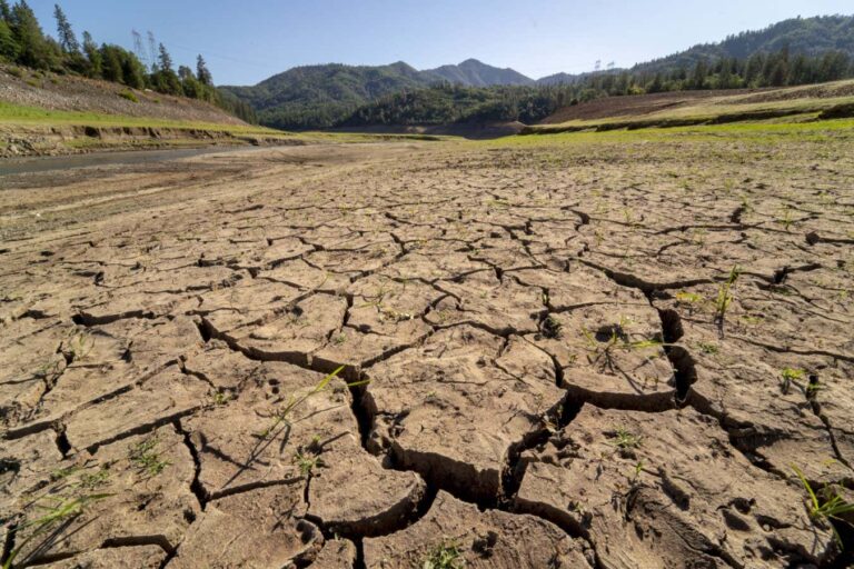 Εξέλιξη εναντίον κλιματικής αλλαγής: ένας αγώνας δρόμου