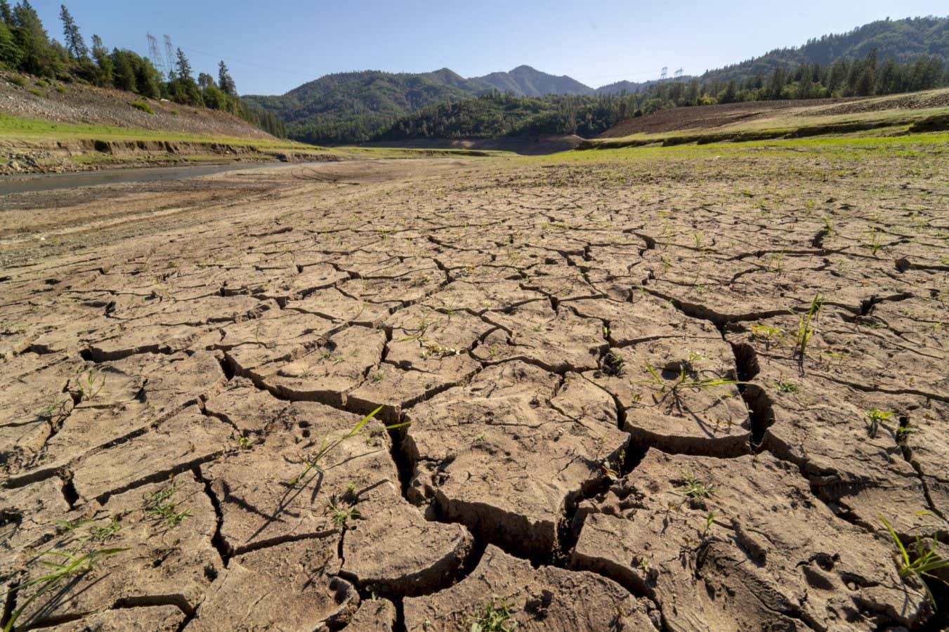 Εξέλιξη εναντίον κλιματικής αλλαγής: ένας αγώνας δρόμου