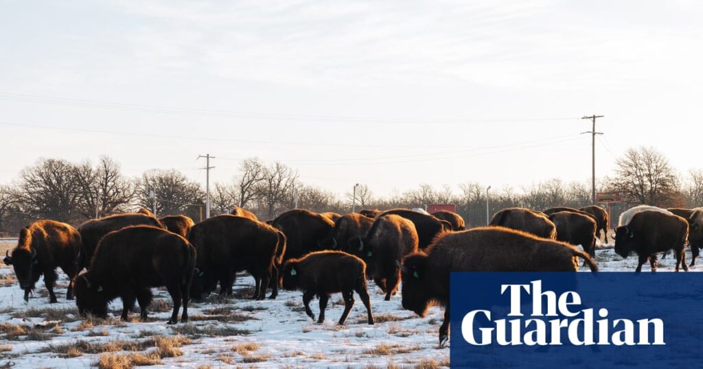 Η φυλή που καθάρισε μόνη της έναν από τους πιο τοξικούς τόπους της Αμερικής