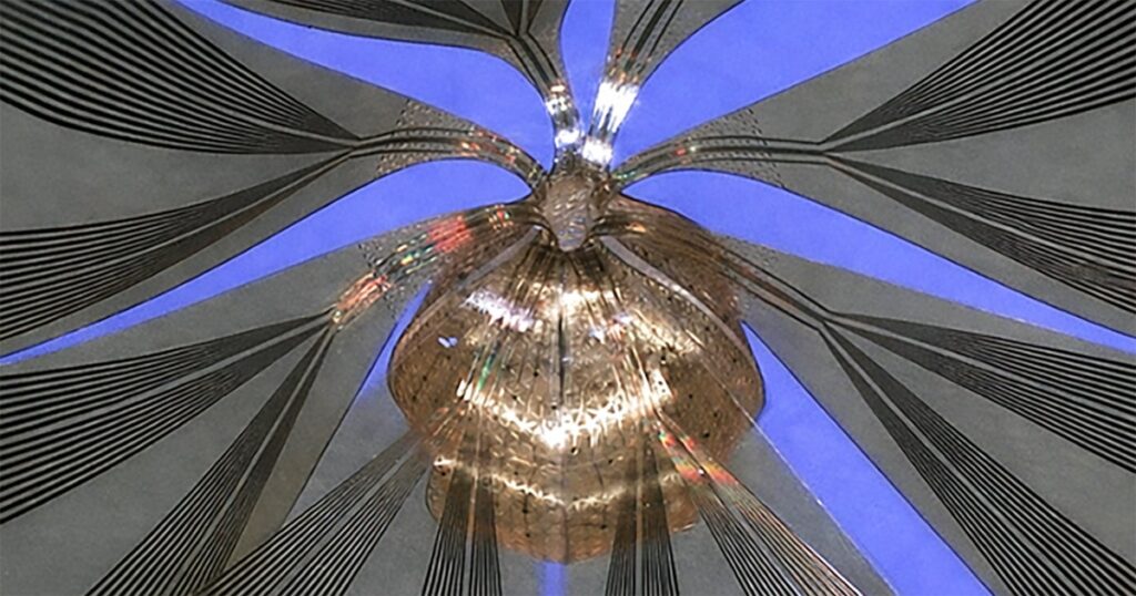 Το ηλεκτρόδιο που «ακούει» τον μικρό εγκέφαλο