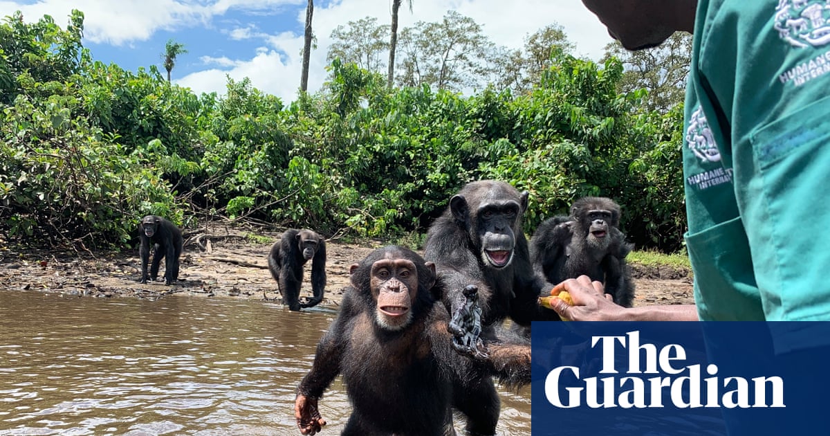 Χωρίς αμερικανικά δολάρια: η διατήρηση της βιοποικιλότητας ψάχνει νέο δρόμο