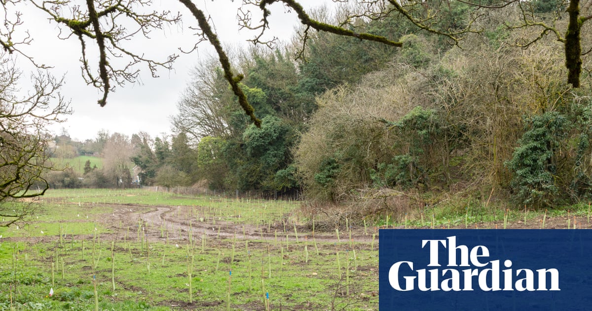 Ένα χωράφι, 600 άνθρωποι και ένα δάσος που δεν θα δουν ποτέ ολοκληρωμένο