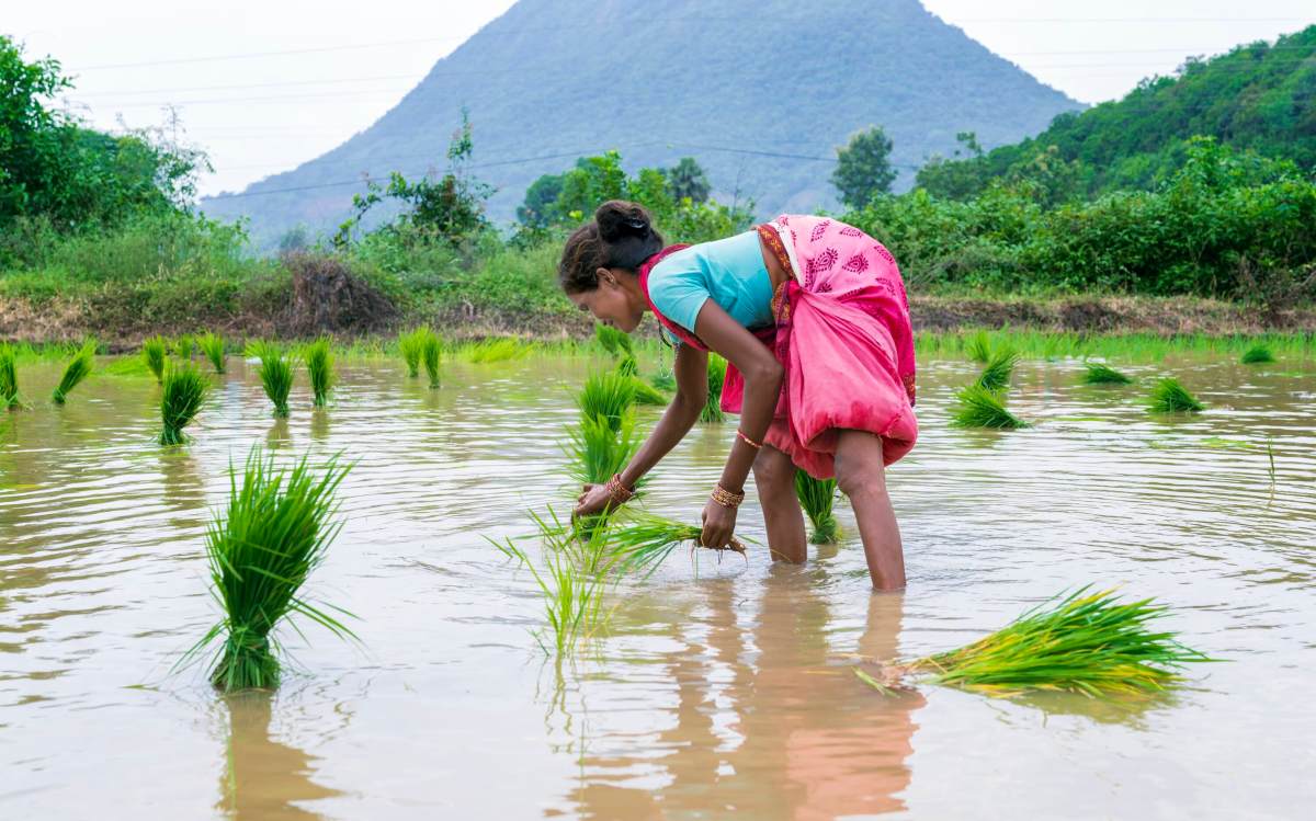 Το AI που μαθαίνει στους αγρότες να σώζουν το κλίμα — ένα χωράφι τη φορά