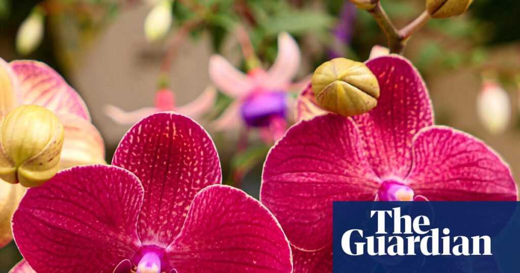 Το Chelsea Flower Show σπάει τα ταμπού