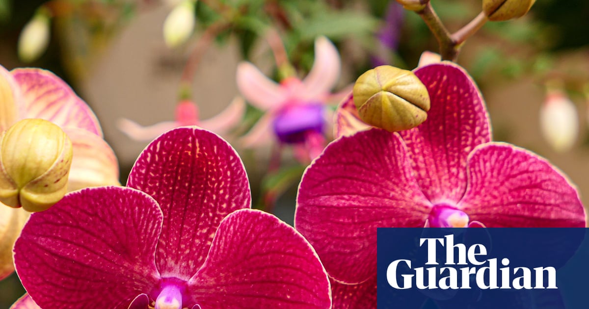 Το Chelsea Flower Show σπάει τα ταμπού