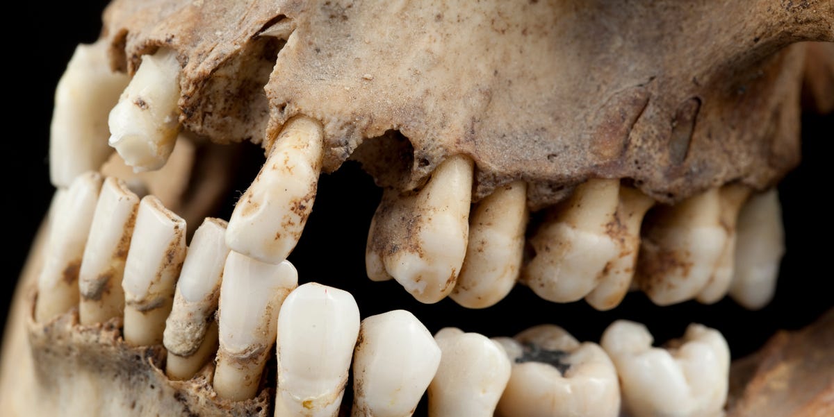 Ένα δόντι ανατρέπει αυτά που πιστεύαμε για τον πρώιμο Χριστιανισμό