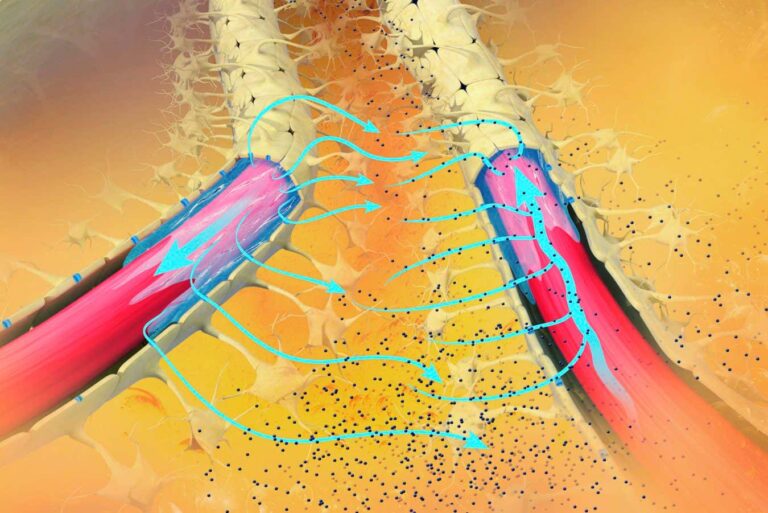 Το σύστημα καθαρισμού του εγκεφάλου μπορεί να καθυστερήσει το Alzheimer κατά επτά χρόνια
