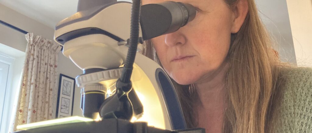 Πώς να παρατηρήσεις έναν μετεωρίτη με μικροσκόπιο στο σπίτι σου