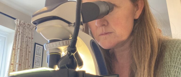 Πώς να παρατηρήσεις έναν μετεωρίτη με μικροσκόπιο στο σπίτι σου