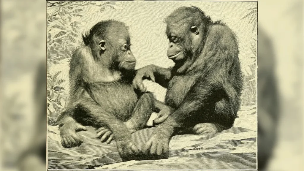 Εύρημα-έκπληξη στο Σινά μετακινεί βορειότερα την απαρχή των πιθήκων