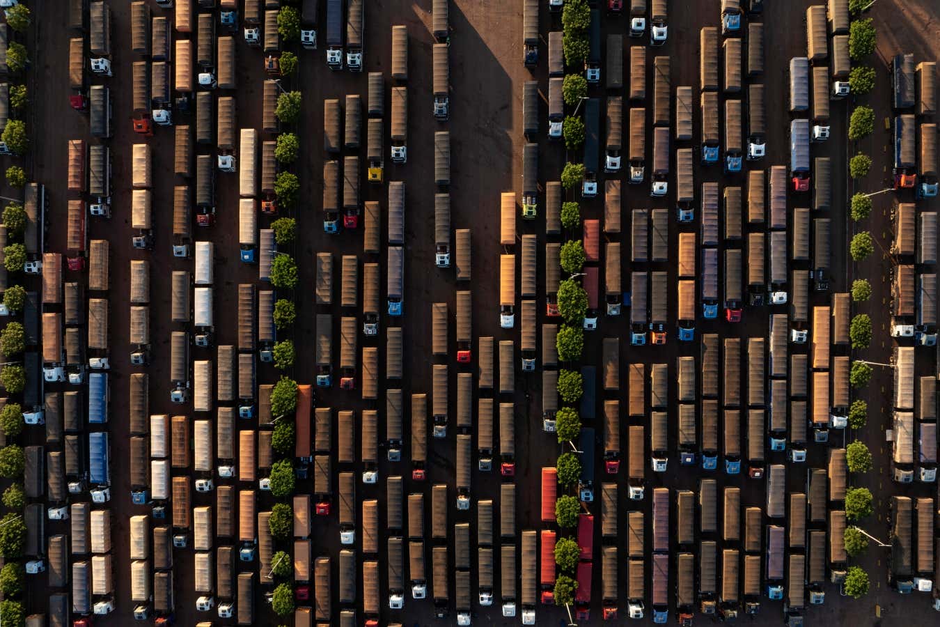 Αμαζόνιος υπό κατεδάφιση: φωτογραφίες από μια καταστροφή σε εξέλιξη