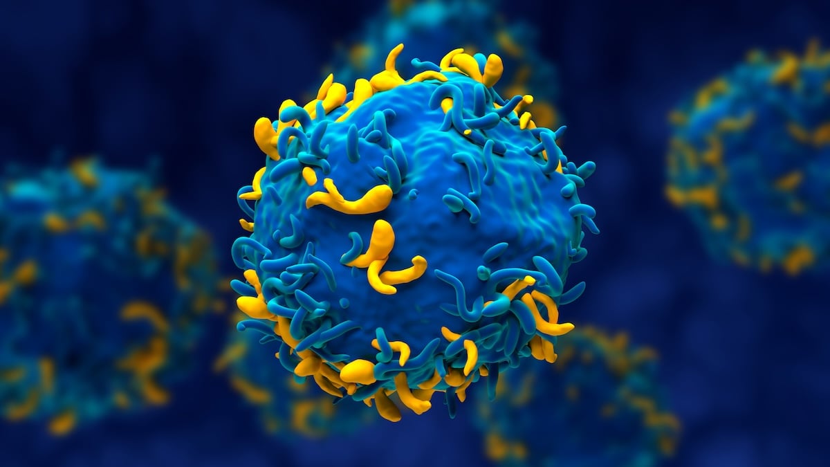 Τρεις αυτοάνοσες παθήσεις εξαφανίστηκαν μετά από «επαναφορά» του ανοσοποιητικού