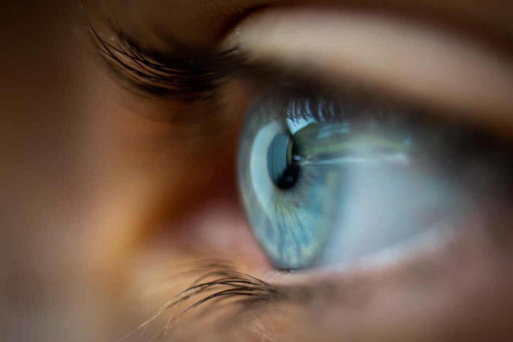 Ιός θαλάσσιων ζώων μολύνει ανθρώπους και απειλεί την όρασή τους