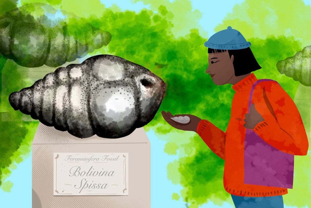 Το πάρκο των foraminifera που άργησε 17 χρόνια