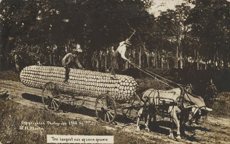 Αλλοιωμένες εικόνες εδώ και πάνω από έναν αιώνα