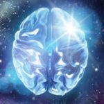 Παγωμένος στα −196°C, ιστός εγκεφάλου επανέρχεται στη δράση