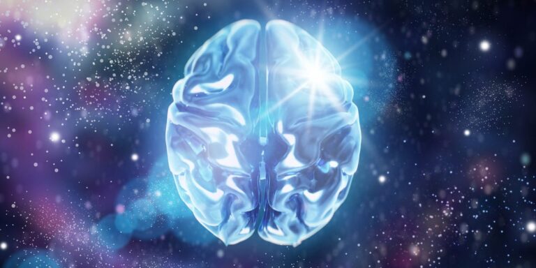 Παγωμένος στα −196°C, ιστός εγκεφάλου επανέρχεται στη δράση