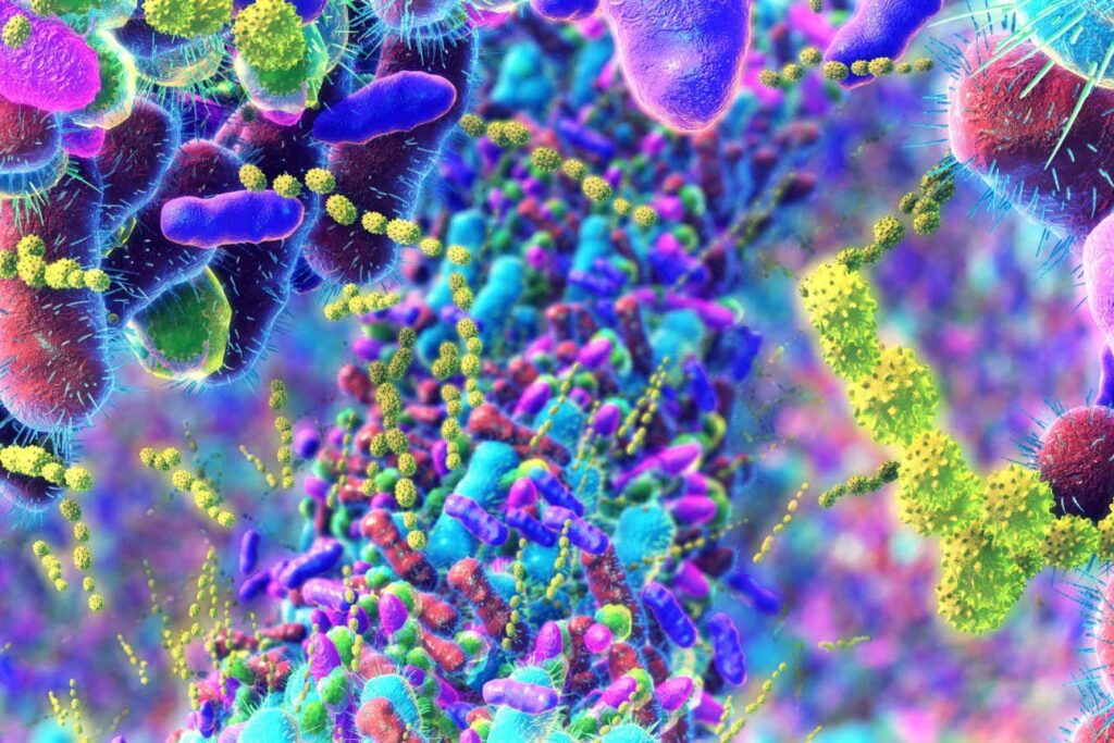 Αστική ζωή και αλλαγές στα επίπεδα οιστρογόνων