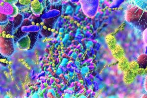 Αστική ζωή και αλλαγές στα επίπεδα οιστρογόνων