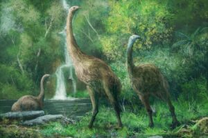 Η Colossal λέει ότι ανέπτυξε τεχνητό κέλυφος αβγού για το μόα