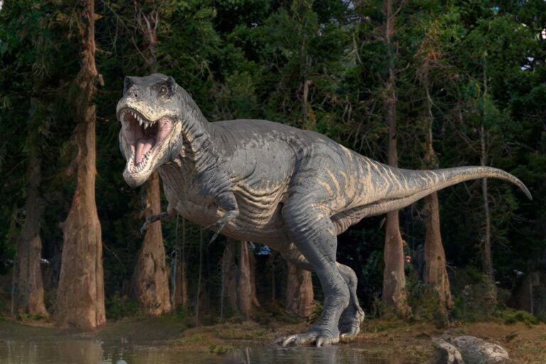 Γιατί οι δεινόσαυροι όπως ο T. rex είχαν μικροσκοπικά μπροστινά άκρα