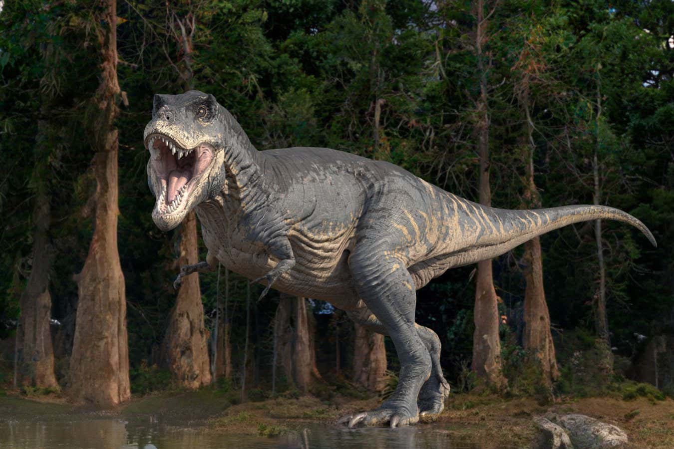 Γιατί οι δεινόσαυροι όπως ο T. rex είχαν μικροσκοπικά μπροστινά άκρα