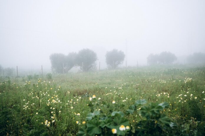 featured-407