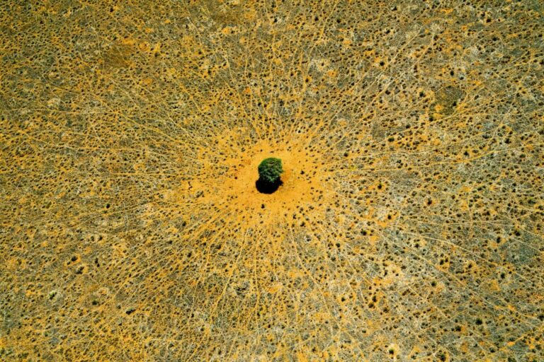 Ο δημιουργός του Earth from Above επιστρέφει με εικόνες γλυκού νερού