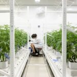 Ήχοι μπορούν να αυξήσουν την ανάπτυξη των φυτών, λέει start-up