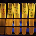 THC στην κάνναβη μειώνει τους εφιάλτες σε άτομα με PTSD
