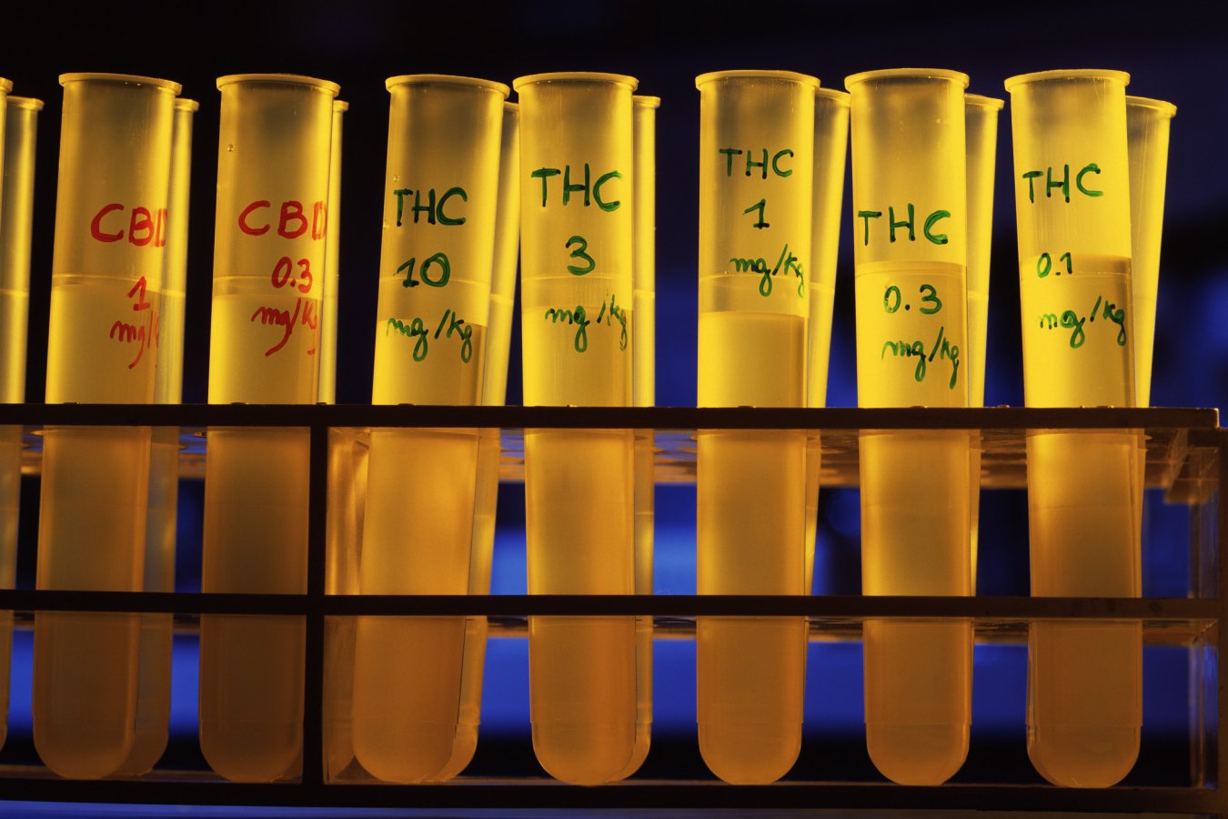 THC στην κάνναβη μειώνει τους εφιάλτες σε άτομα με PTSD