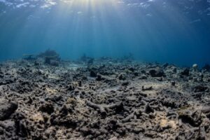 Ψαράδες ανατινάζουν ύφαλο της Ινδονησίας σχεδόν κάθε ώρα