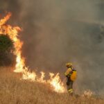 Πώς η Ευρώπη μπορεί να κάνει τα τοπία της πιο ανθεκτικά στις πυρκαγιές