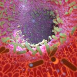 Postbiotic μειώνει τον κίνδυνο εγκεφαλικής βλάβης μετά από διάσειση