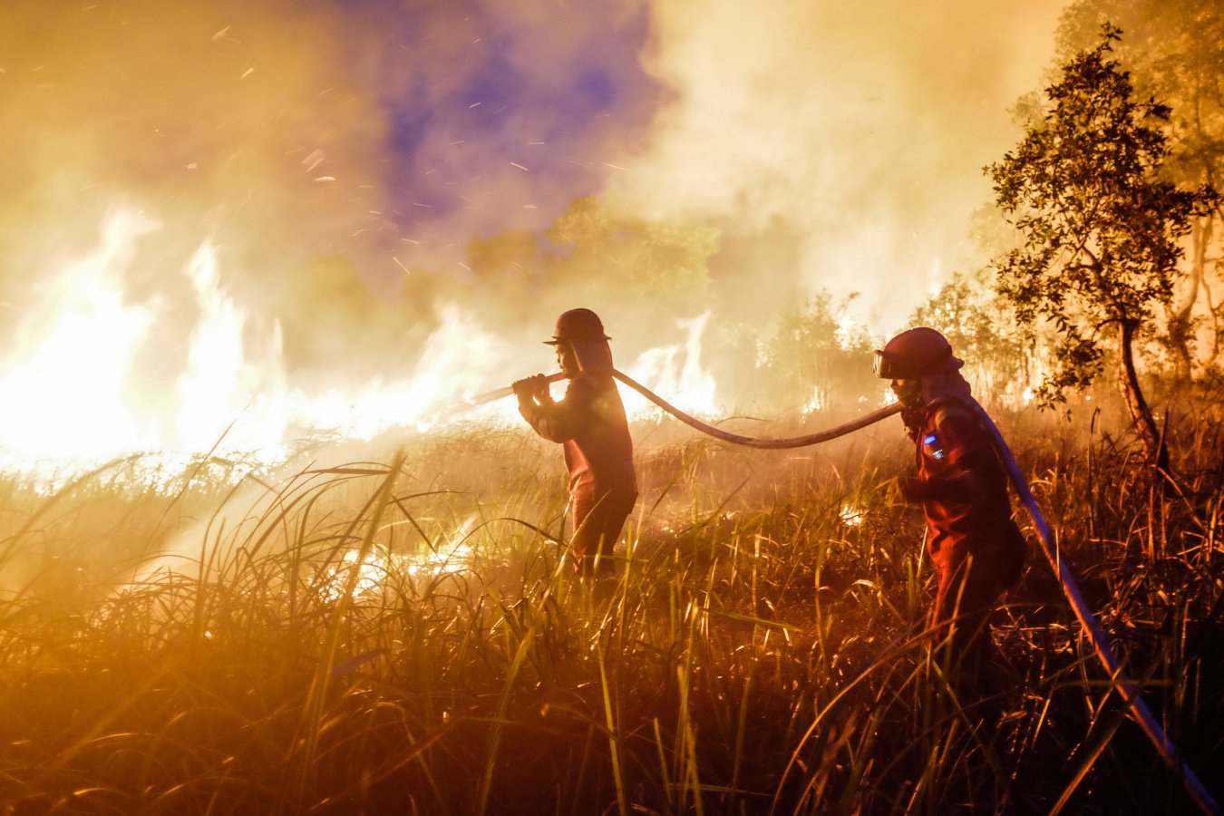 Super El Niño: εκρηκτικές εκπομπές CO2 από τις πυρκαγιές στην Ινδονησία