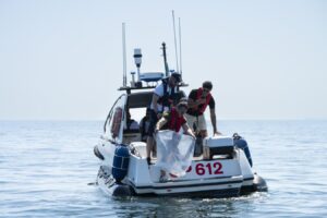 Απελευθέρωση 150.000 νεαρών χταποδιών στην Αδριατική για τον έλεγχο του γαλάζιου κάβουρα