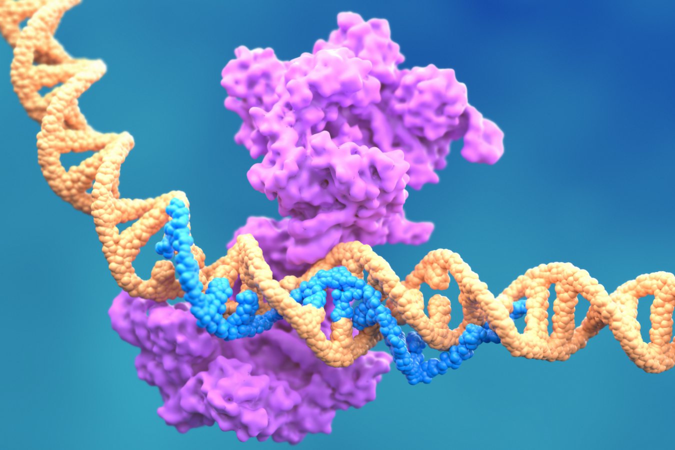 Η Anthropic ανακάλυψε ενζυμικό σύστημα με ιδιότητες τύπου CRISPR